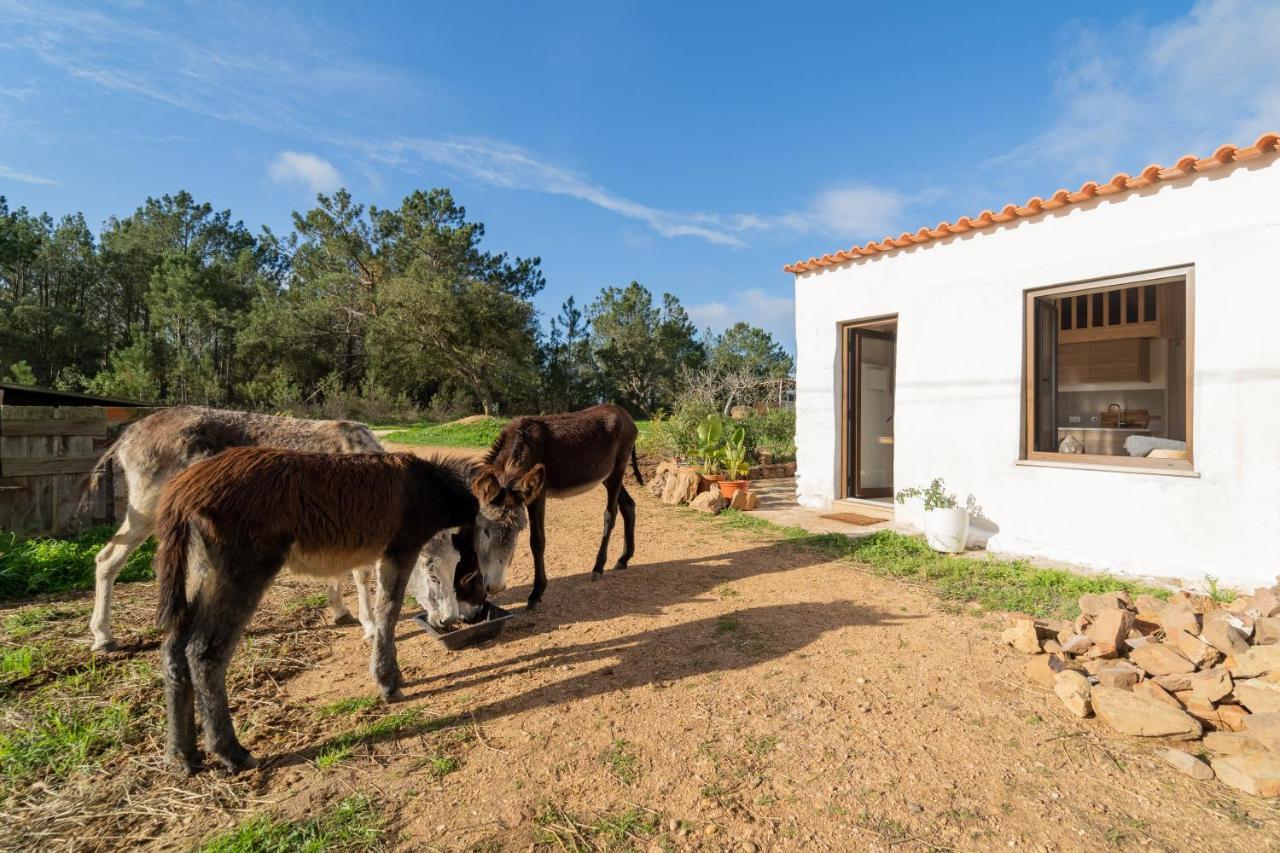 דירות אלג'זור Casa Da Paz מראה חיצוני תמונה