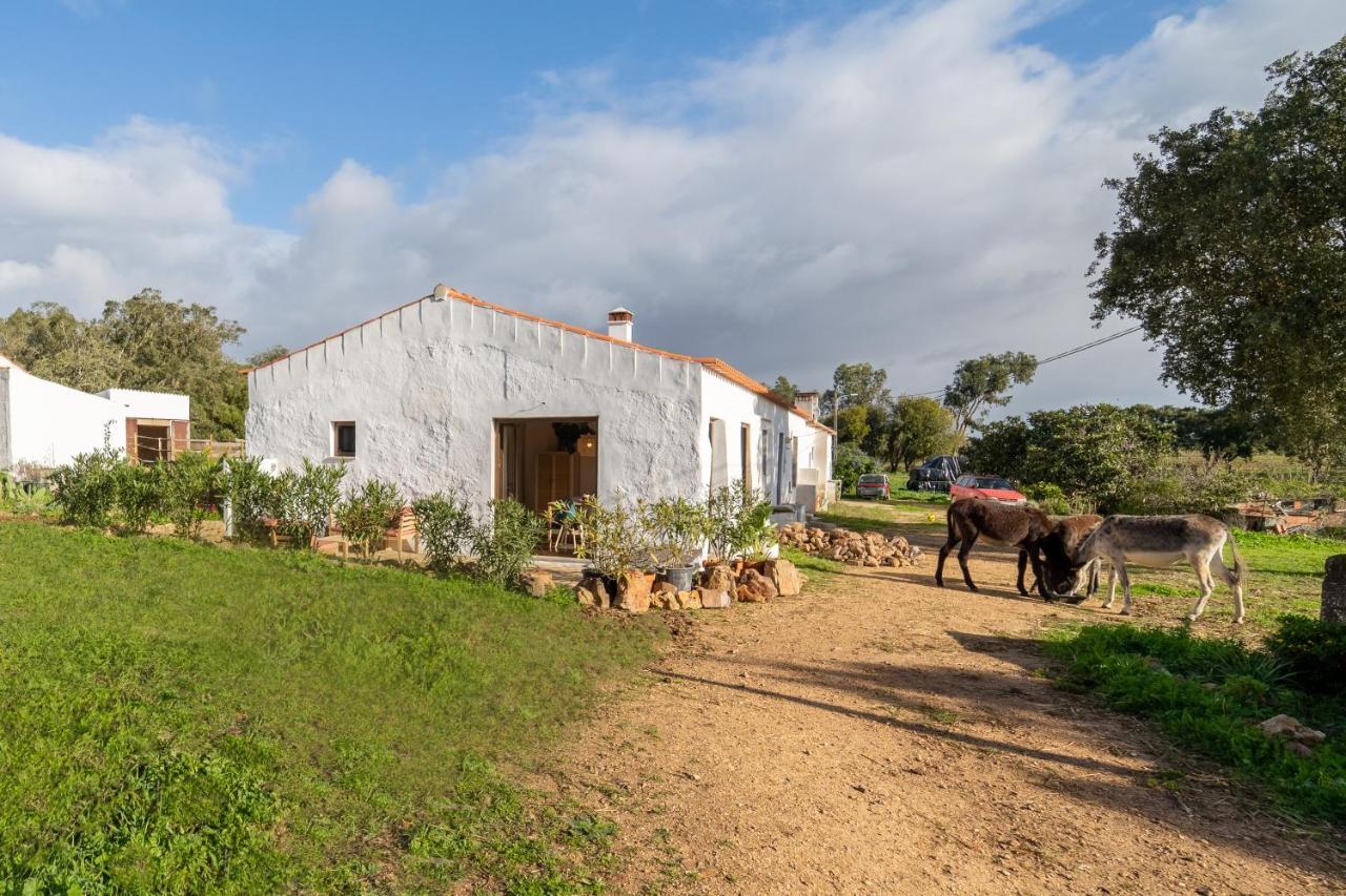 דירות אלג'זור Casa Da Paz מראה חיצוני תמונה