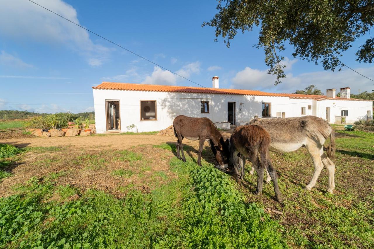 דירות אלג'זור Casa Da Paz מראה חיצוני תמונה