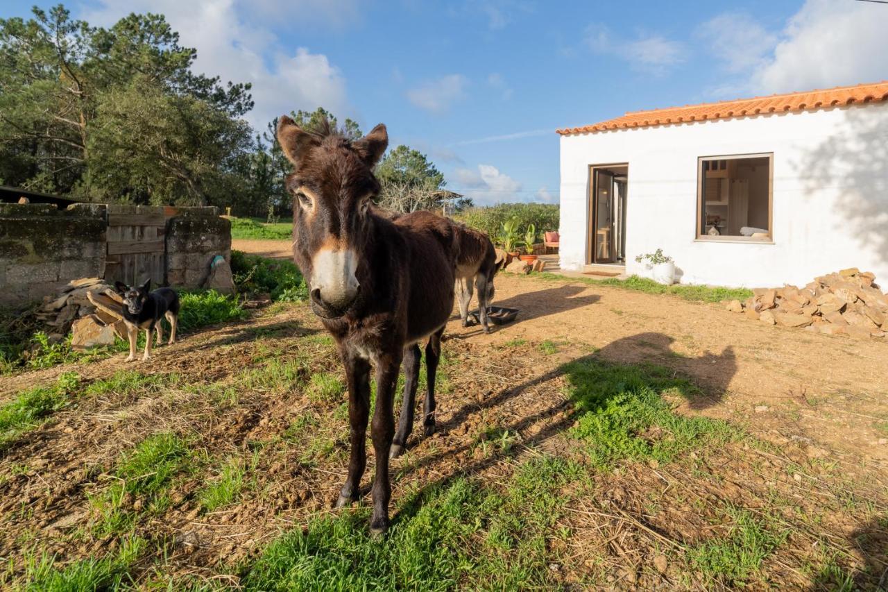 דירות אלג'זור Casa Da Paz מראה חיצוני תמונה