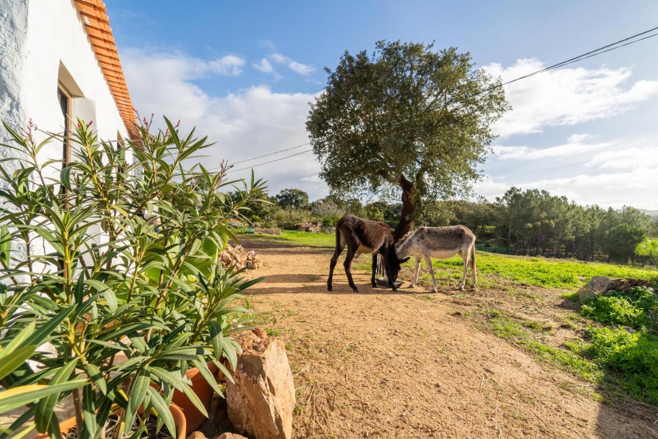דירות אלג'זור Casa Da Paz מראה חיצוני תמונה
